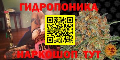 прущие грибы Гай