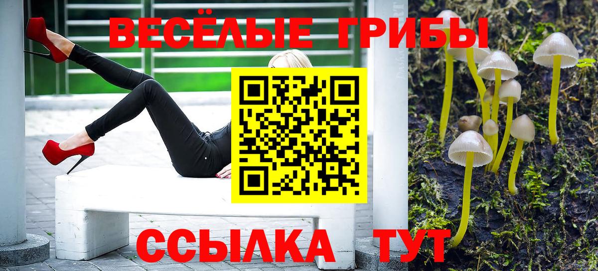 Галлюциногенные грибы мухоморы  Вход с VPN  Псилоцибиновые грибы мухоморы  где купить наркотик  Волгодонск 